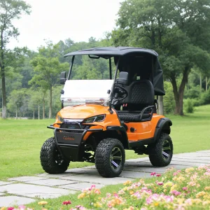 Customizable 2-seat Passenger Electric Golf Cart