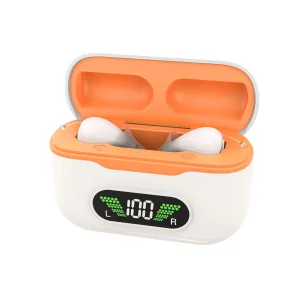 Invisible Cic Digital Hearing Aids for Deaf with UV Case Rechargeable