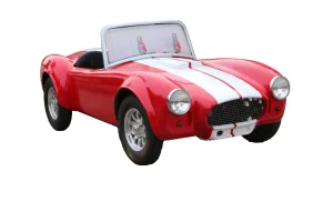 High Speed 48V Lead Acid Battery Mini Electric 2 Seater Buggy Golf Carts Price