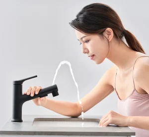 Matt Black Chrome Brass