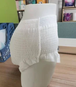 Adult Girls Diaper Disposable Menstruation Panties Female Periods Diapers Lady Menstrual Period Pants Pants for Cycle