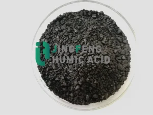 High Quality Biological Pesticide Humic Acid in Stock