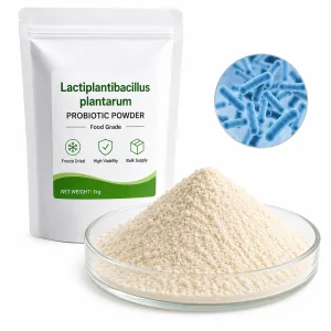 Lactiplantibacillus Plantarum Probiotic