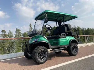 CE Certification Golf Cart Manufacturer Customized 2+2 Seat
