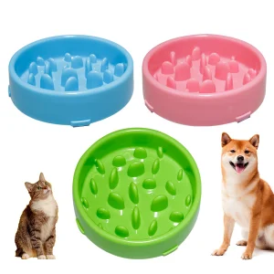 Slow-Feeding Non-Slip Dog Bowl