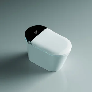 Chaozhou Floor Standing Ceramic Automatic Inductive Smart Toilet