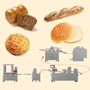 خط إنتاج خبز البرغر والبون