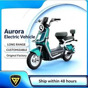CE Certification Long Range Adult Electric Bicycle