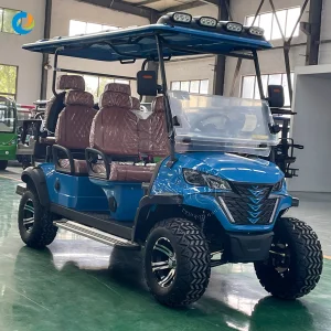 Robetaa Factory Electric Cart