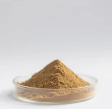 Forsythia Extract