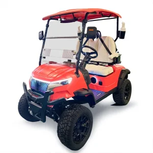 Electric Sightseeing Golf Wholesale 2 Seater