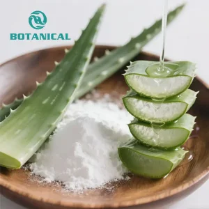 High-Quality Aloe vera gel powder Manufacturer