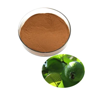 Natural Plant Extract Antioxidant Herbal Extract Guava Leaf Extract