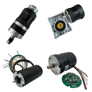 High Torque Brushless DC Electric Motor 24VDC 12VDC 48VDC 120VDC 230VDC BLDC Gear Motor 50 100 200 300 400 500 800 Watt for Machine Robot Industrial Automation