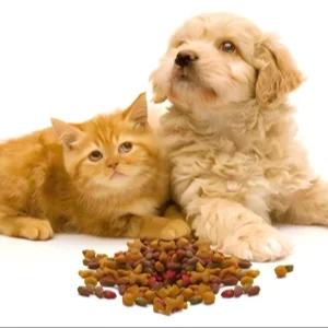 Dry Pet Food Dogs Cats