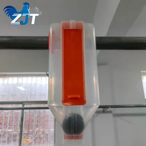 Automated Pig Feeding