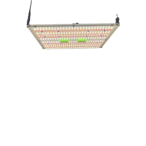 Ultraviolet Plant Grow Lights Melbourne Custom Terpene Spectra