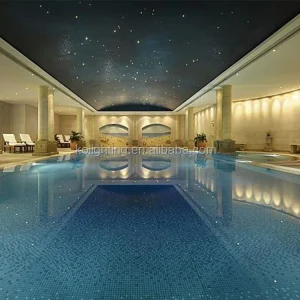 LED Optical Fiber Optic Lights For Swimming Pool For Waterscape &amp; Floor Lighting Star Light Border &amp; Floor
