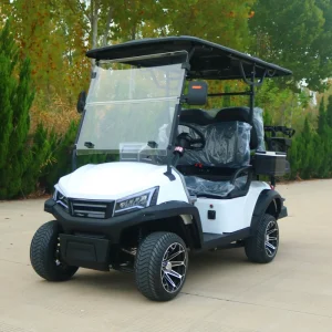 Street Legal 4WD Electric Golf Cart 60/72V Lithium Battery 6-seater Sightseeing Club Car 5000W Motor Electric Cart