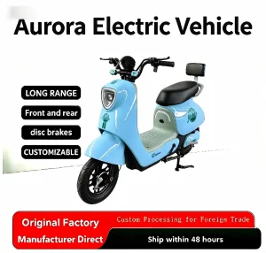 CE Certification Stylish Urban Commuter E-Bike