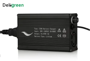Deligreen Charger