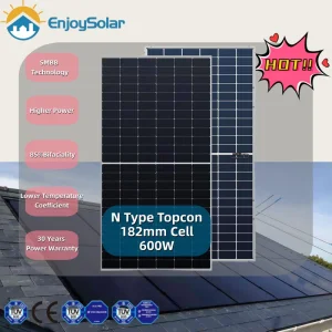 N Type Bifacial Module