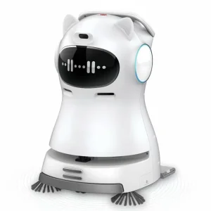 Cleaning Robot