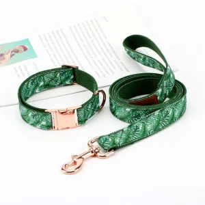 Green Floral or Customized Pattern Leather Logo Come with Lead Pet Collar