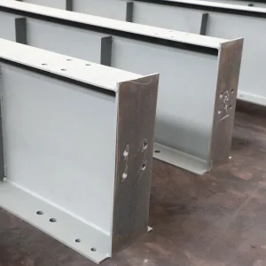 Professional Supplier