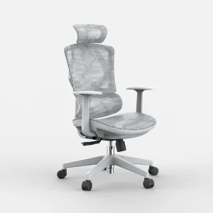 Sihoo M91 Ergonomic Chair Height Adjustable