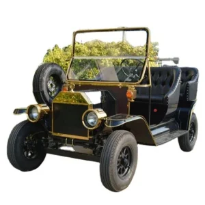 Electric Vehicle 5 Seater Vintage Classic Car with Door Battery Rain Curtain