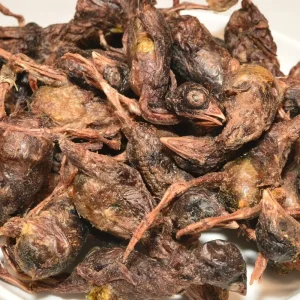 Wholesale Freeze-dried Quail Factories