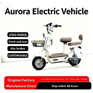 Wholesale Stylish Urban Electric Bike