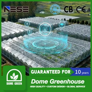 Smart Ai &amp; IoT Greenhouse with Full Automation for High-Yield Tomato/Lettuce &amp; Vertical Farming