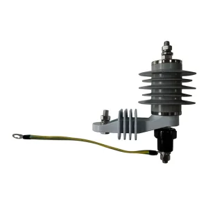 Surge Arrester