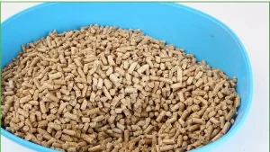 Deodorant Pine Litter