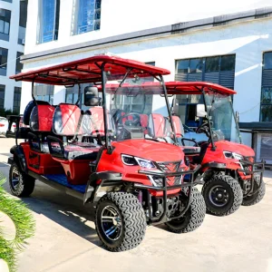 New Gas Golf Cart 6 Seater