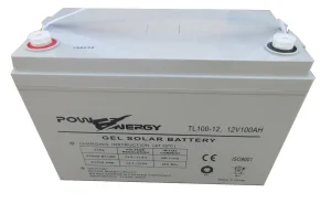 TL12-100 VRLA AGM Battery