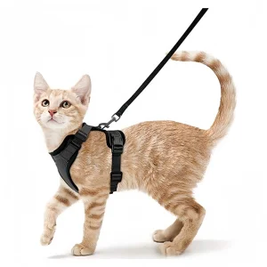 Arneses para gatos todas las estaciones