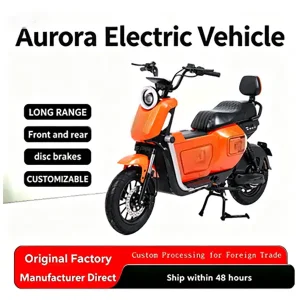 Spain Commuter E-Bike OEM U2