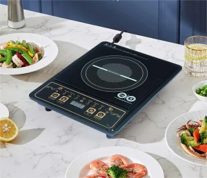 Built-in Induction Hob with Extractor