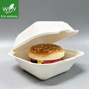 Embalagem de Clamshell de Bagasse de Cana-de-Açúcar Biodegradável 6 Polegada Recipiente de Alimento Descartável Ecológico para Viagem