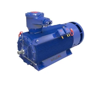 Cost Effective Yb3 High Voltage Three Phase Asynchronous Motor