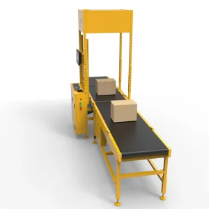 Intelligent Weight Sorting