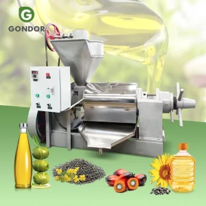 Tanzania Soybean Oil Production Machine