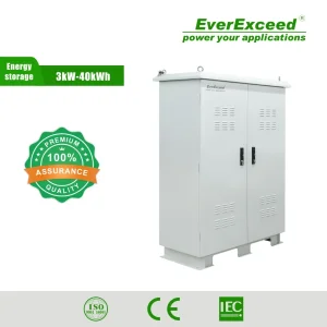 High Performance 220VAC Everexceed Outdoor Power for Remote Area Energy Storage Solution
