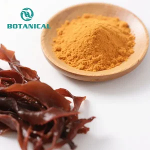 ODM Natural Brown Seaweed Fucoxanthin Powder