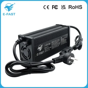 Customized E-Bike Charger