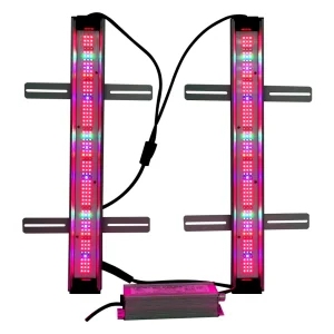 Laser Protected LED