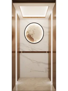 Best Supplier Home Passenger Elevator Lift with High Quality